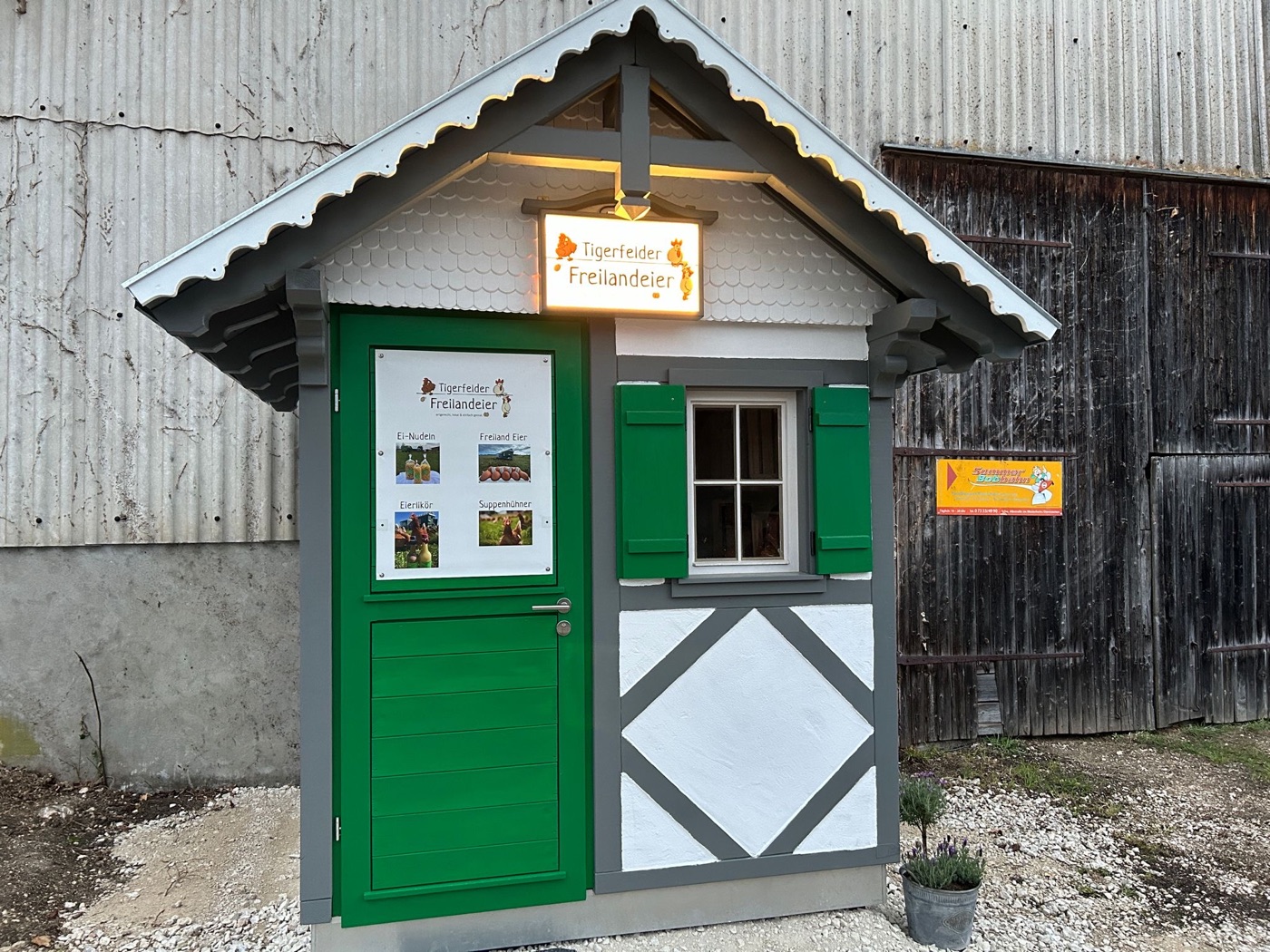 Tigerfelder Freilandeier – Bild 1