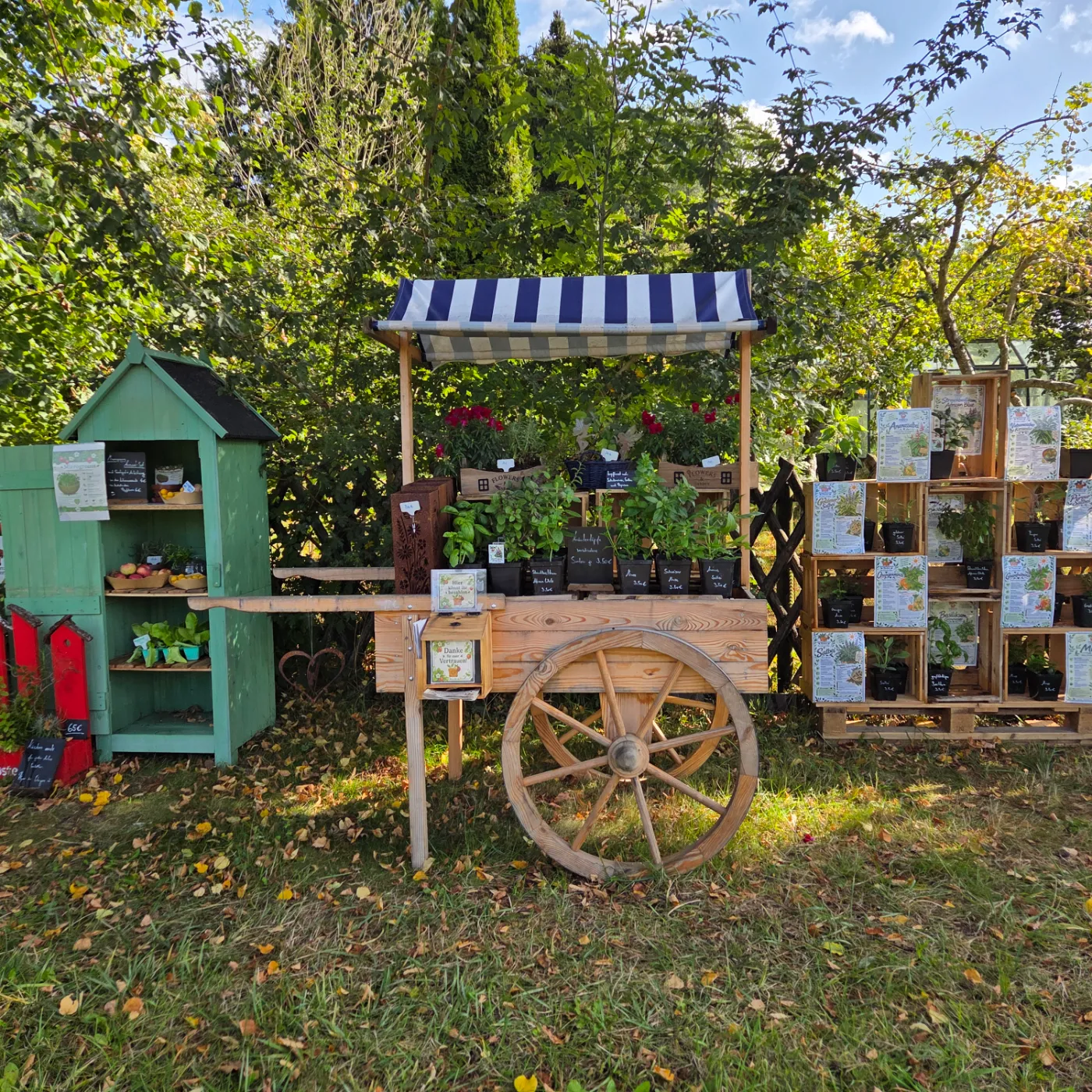 Jungpflanzenzauber – Bild 1