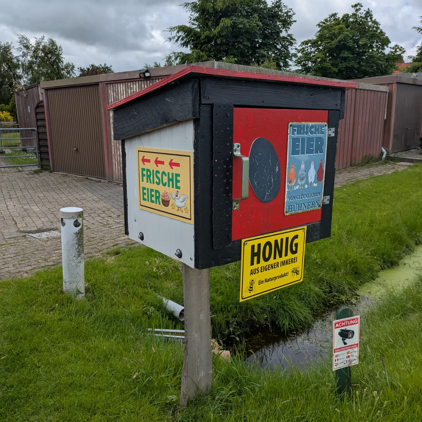 Münkeboer Eier Nest – Bild 1