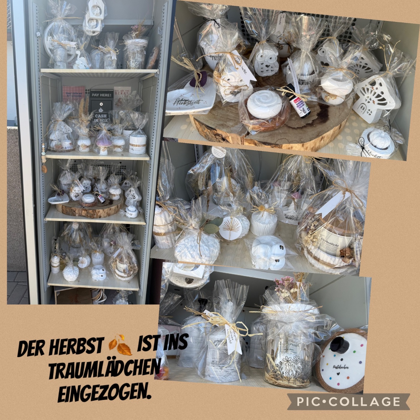 Traumlädchen – Bild 1